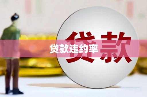 会宁贷款违约率
