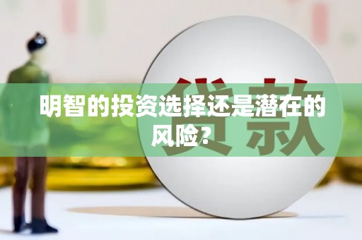 会宁明智的投资选择还是潜在的风险？