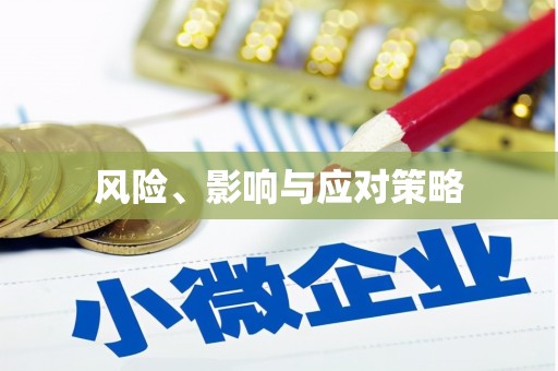 会宁风险、影响与应对策略