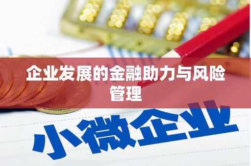 会宁企业发展的金融助力与风险管理