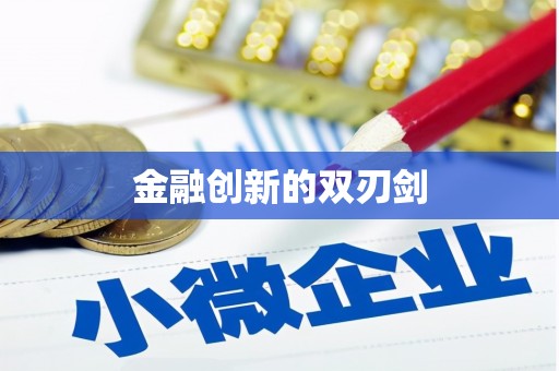 会宁金融创新的双刃剑