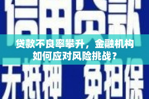 会宁贷款不良率攀升，金融机构如何应对风险挑战？