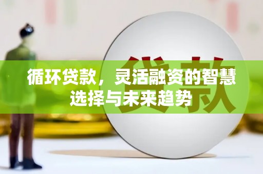 会宁循环贷款，灵活融资的智慧选择与未来趋势