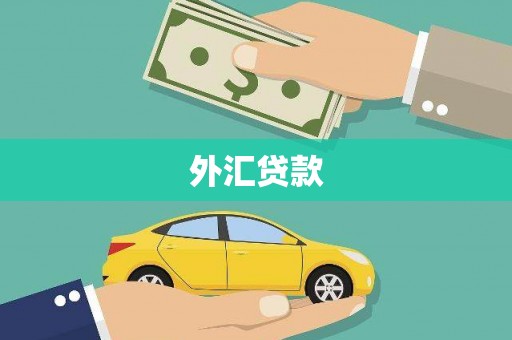 会宁外汇贷款