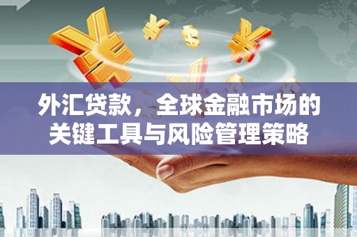 会宁外汇贷款，全球金融市场的关键工具与风险管理策略