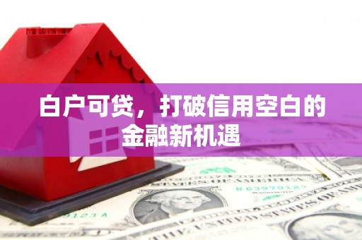 会宁白户可贷，打破信用空白的金融新机遇