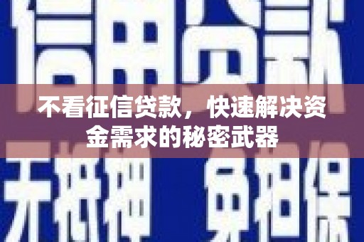 会宁不看征信贷款，快速解决资金需求的秘密武器