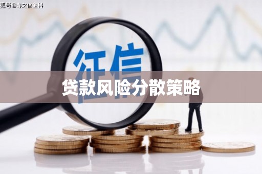 会宁贷款风险分散策略