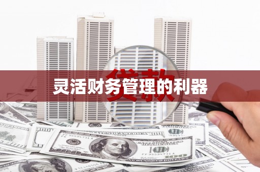 会宁灵活财务管理的利器