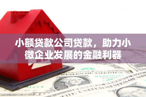 会宁小额贷款公司贷款，助力小微企业发展的金融利器