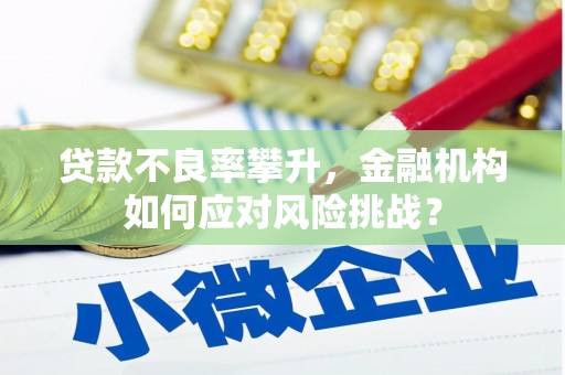 会宁贷款不良率攀升，金融机构如何应对风险挑战？