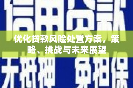会宁优化贷款风险处置方案，策略、挑战与未来展望