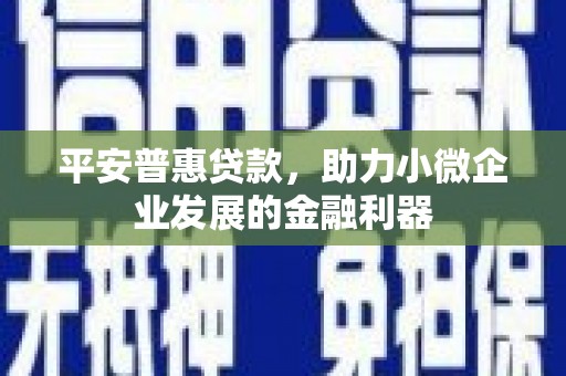 会宁平安普惠贷款，助力小微企业发展的金融利器