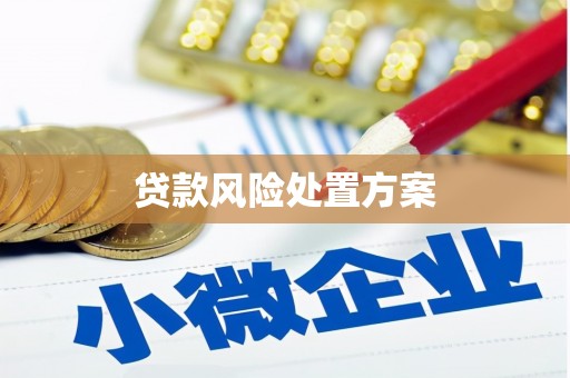 会宁贷款风险处置方案