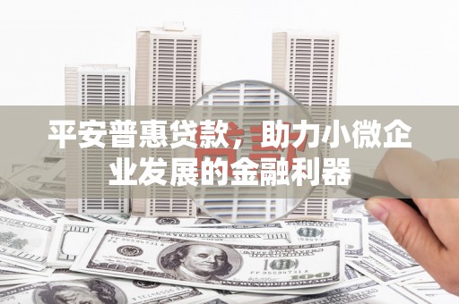 会宁平安普惠贷款，助力小微企业发展的金融利器