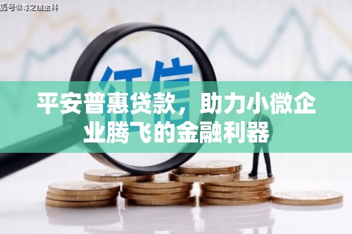 会宁平安普惠贷款，助力小微企业腾飞的金融利器
