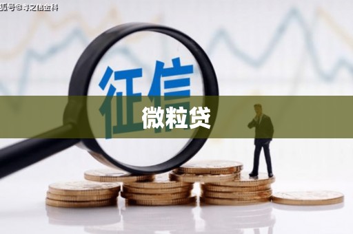 会宁微粒贷