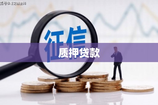 会宁质押贷款
