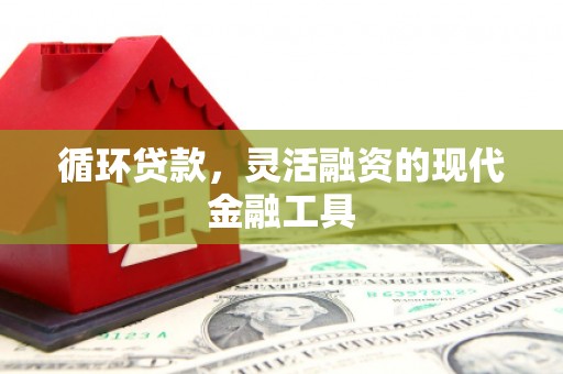 会宁循环贷款，灵活融资的现代金融工具