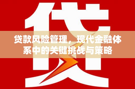 会宁贷款风险管理，现代金融体系中的关键挑战与策略