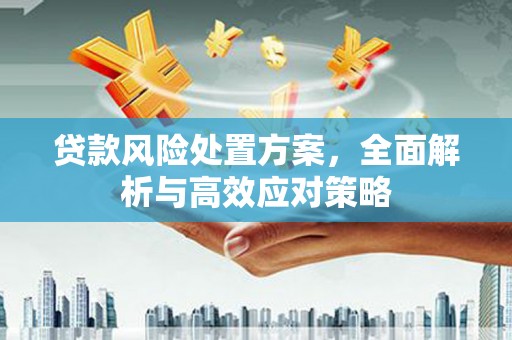 会宁贷款风险处置方案，全面解析与高效应对策略