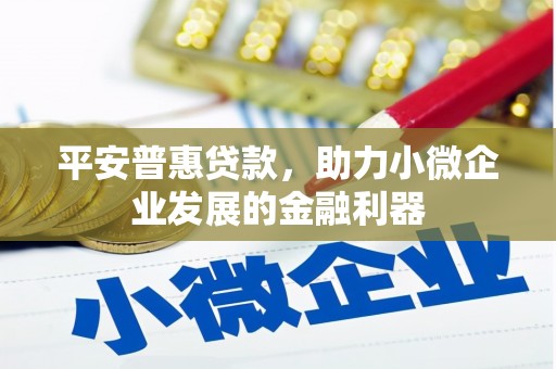 会宁平安普惠贷款，助力小微企业发展的金融利器