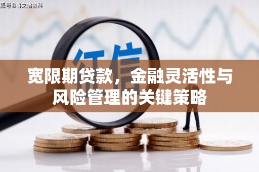 会宁宽限期贷款，金融灵活性与风险管理的关键策略