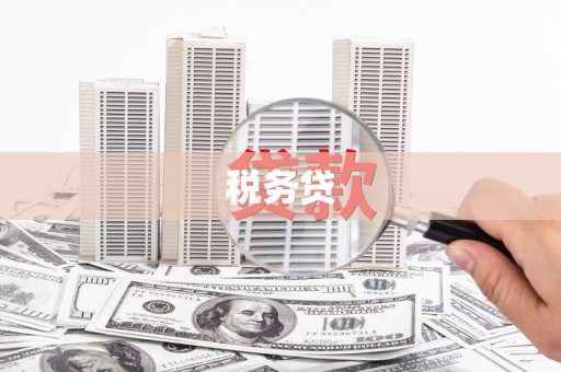 会宁税务贷