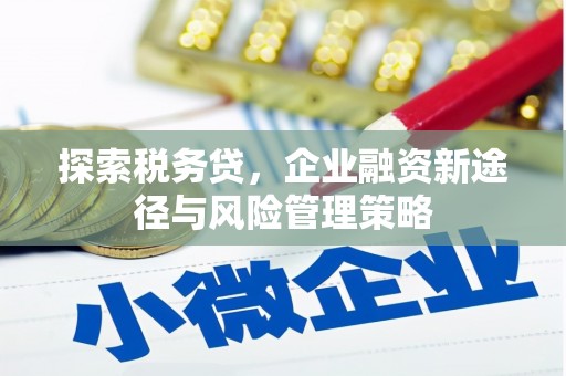 会宁探索税务贷，企业融资新途径与风险管理策略