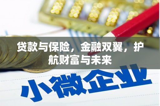 会宁贷款与保险，金融双翼，护航财富与未来