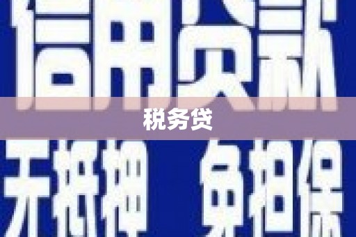 会宁税务贷