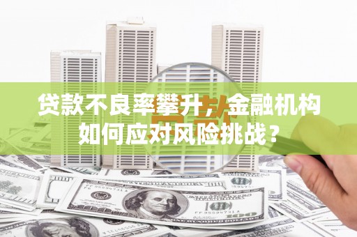 会宁贷款不良率攀升，金融机构如何应对风险挑战？