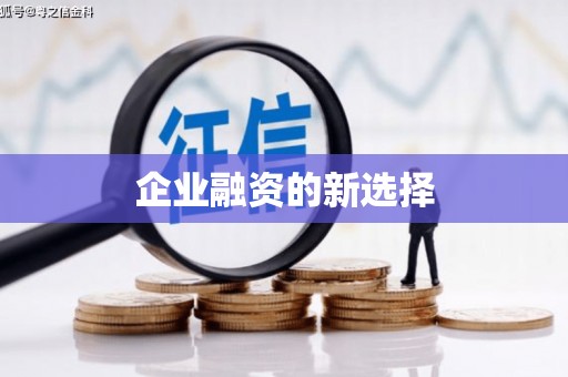 会宁企业融资的新选择