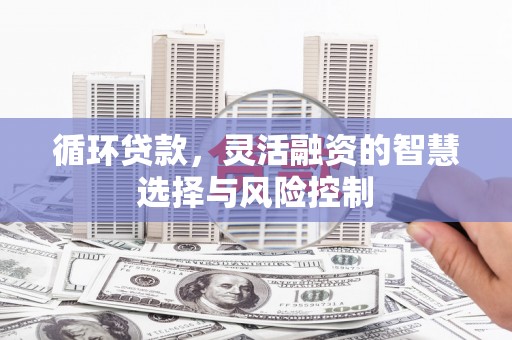 会宁循环贷款，灵活融资的智慧选择与风险控制