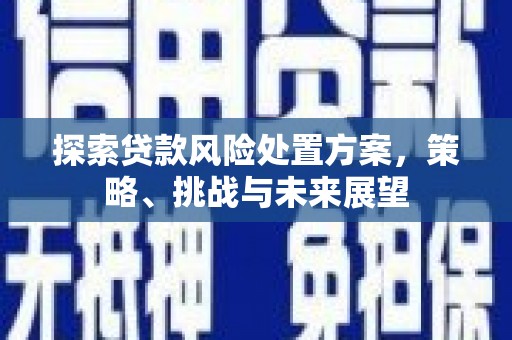 会宁探索贷款风险处置方案，策略、挑战与未来展望