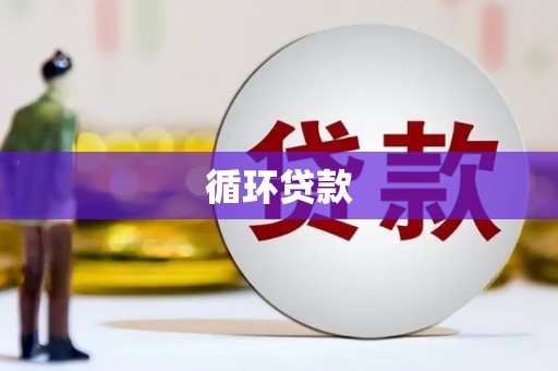会宁循环贷款