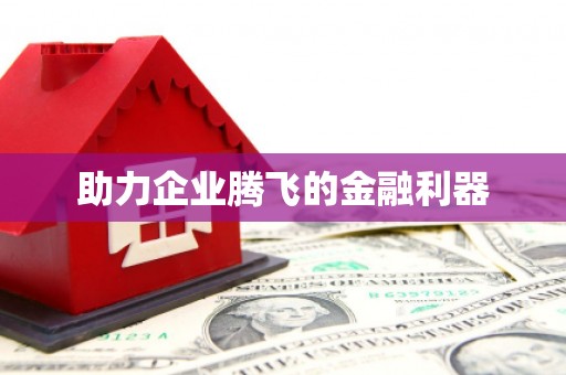 会宁助力企业腾飞的金融利器