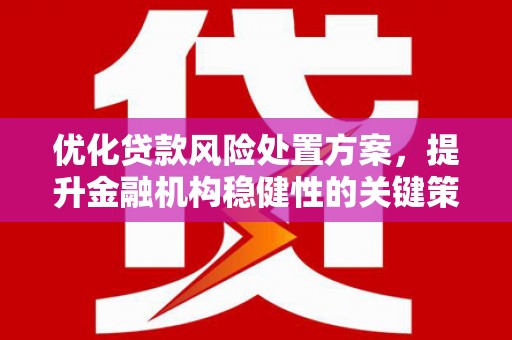 会宁优化贷款风险处置方案，提升金融机构稳健性的关键策略