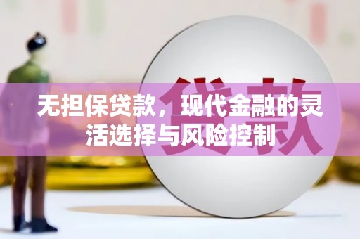 会宁无担保贷款，现代金融的灵活选择与风险控制