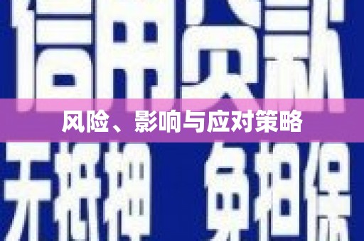 会宁风险、影响与应对策略