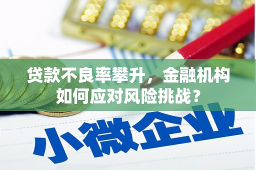 会宁贷款不良率攀升，金融机构如何应对风险挑战？