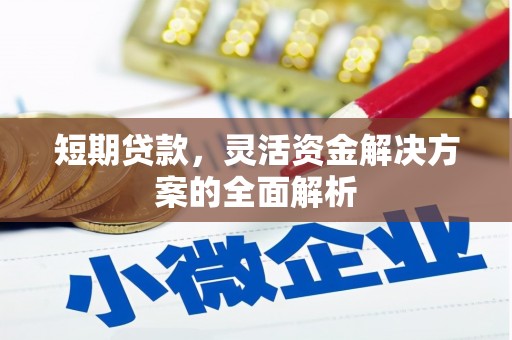 会宁短期贷款，灵活资金解决方案的全面解析