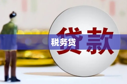 会宁税务贷