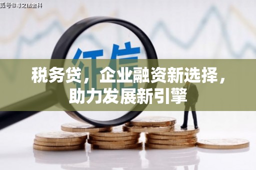 会宁税务贷，企业融资新选择，助力发展新引擎