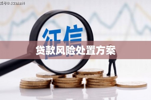 会宁贷款风险处置方案