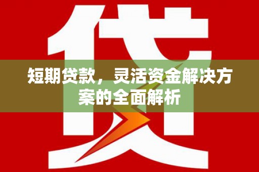 会宁短期贷款，灵活资金解决方案的全面解析