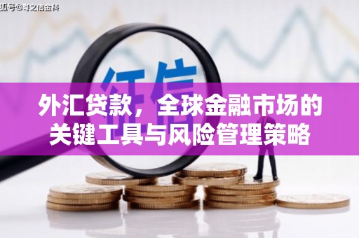 会宁外汇贷款，全球金融市场的关键工具与风险管理策略
