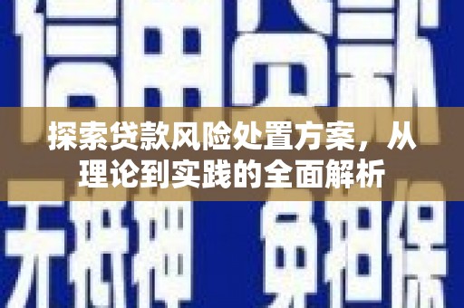 会宁探索贷款风险处置方案，从理论到实践的全面解析