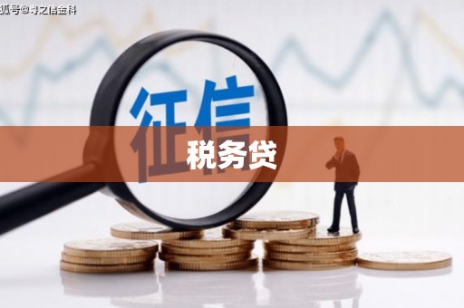 会宁税务贷