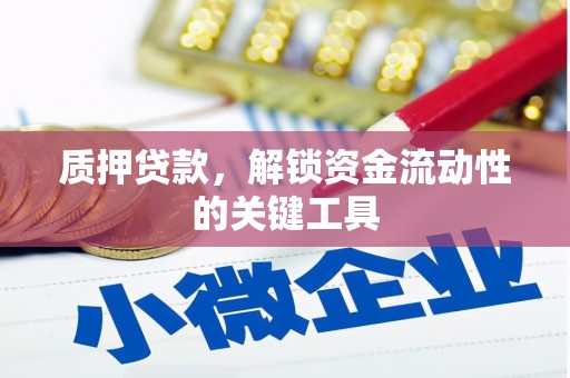 会宁质押贷款，解锁资金流动性的关键工具